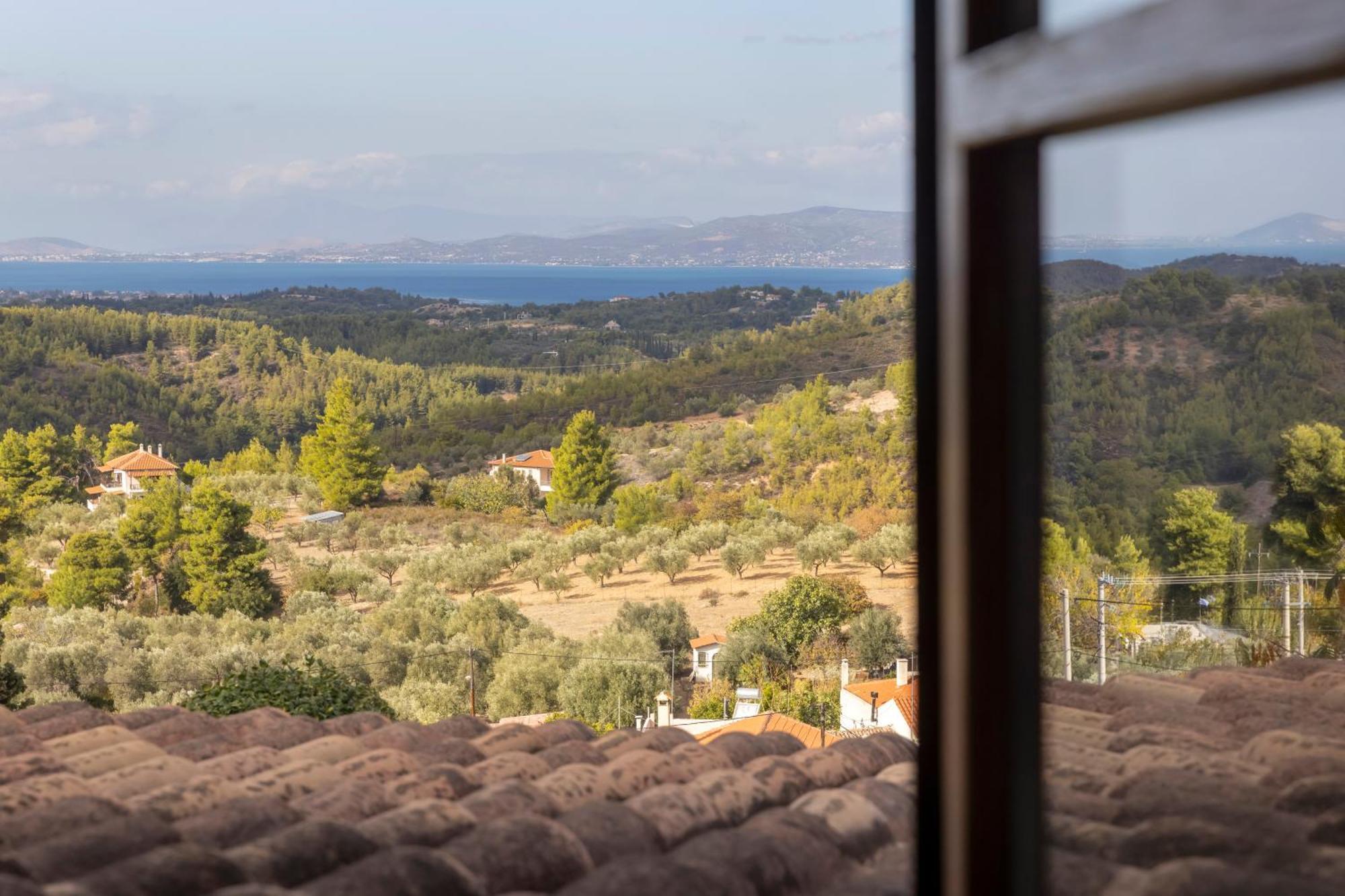 Villa Marrone Splendid Seaview Markopoulon Oropou Bagian luar foto